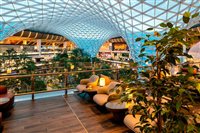 Luz natural e plantas são destaques do novo lounge da Qatar em Doha; fotos