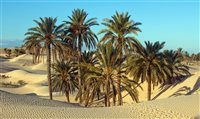 Tunísia apresenta atrações culturais no litoral e no deserto; conheça