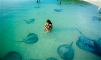 Descubra e se surpreenda com as belezas aquáticas de Belize