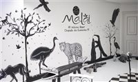 Malai Manso, no Mato Grosso, inaugura bar com decoração 2D