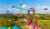 Busch Gardens Tampa Bay: aventura para todas as idades