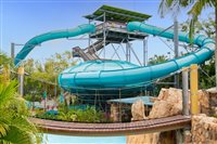 Aquatica Orlando: o parque aquático n°1 dos Estados Unidos