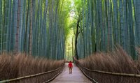 Pinterest aponta viagens solo e de aventura como tendências em 2024 Pinterest aponta viagens solo e de aventura como tendências em 2024