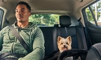 Uber expande serviço Pet para mais cidades brasileiras; confira Uber expande serviço Pet para mais cidades brasileiras; confira