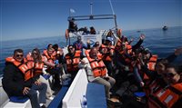 Operadores convidados da Convenção Braztoa avistam baleias em alto mar; fotos Operadores convidados da Convenção Braztoa avistam baleias em alto mar; fotos