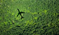 Programa que reduz e compensa CO2 avança como ferramenta-chave do setor aéreo Programa que reduz e compensa CO2 avança como ferramenta-chave do setor aéreo