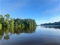 Parques nacionais e hotéis da Costa Rica integram vida selvagem e conforto Parques nacionais e hotéis da Costa Rica integram vida selvagem e conforto