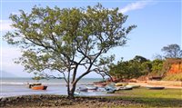 Búzios terá primeira piscina de ondas do Estado do RJ e novo condomínio de luxo Búzios terá primeira piscina de ondas do Estado do RJ e novo condomínio de luxo