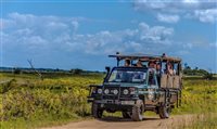 Safári mais antigo da África do Sul tem Big Five, lodge e vista panorâmica Safári mais antigo da África do Sul tem Big Five, lodge e vista panorâmica