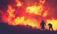 Incêndios florestais em Marselha, na França, afetam quase 300 voos Incêndios florestais em Marselha, na França, afetam quase 300 voos