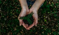 Vivalá lança programa de afiliados de Turismo sustentável no Brasil Vivalá lança programa de afiliados de Turismo sustentável no Brasil