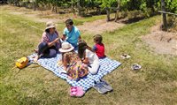 Conheça o Uruguai: vinhas, praias e cultura em um destino acessível e seguro Conheça o Uruguai: vinhas, praias e cultura em um destino acessível e seguro
