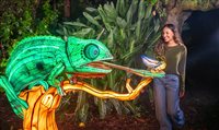 Aquatica Orlando estreia Illuminate, festival noturno de lanternas; veja detalhes Aquatica Orlando estreia Illuminate, festival noturno de lanternas; veja detalhes