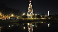 Veja fotos e vídeo do Natal Iluminado de São Paulo