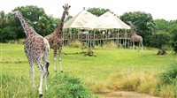 Disney World lança nova experiência de safári