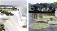 Brasil tem duas das sete maravilhas naturais do mundo