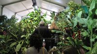 Brasil é tema de show de flores da Macys. Veja fotos