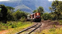 Trem do Pantanal (MS) tem quatro saídas em julho