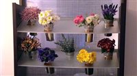 Hyatt nos EUA oferece flores para hóspedes customizarem quartos
