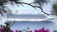 Discover Cruises leva agentes para Crown Princess