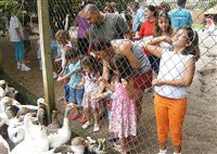 Hotel Fazenda Mazzaropi (SP) muda nome das faixas etárias na recreação