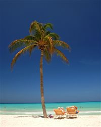 Aruba registra alta de 10,55% de brasileiros em 2013