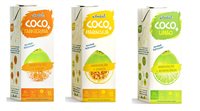 Jandaia lança linha de água de coco com sabor de frutas