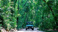 Cariocas têm descontos em tours pela Floresta da Tijuca