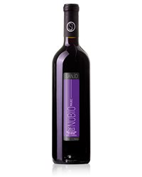 Vinícola Sanjo (SC) aposta no novo rótulo Núbio Malbec