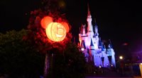 Disney World tem razão: o Mickey não é tão assustador