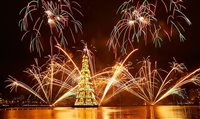 Veja fotos da Árvore de Natal da Lagoa, no Rio