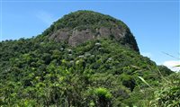 Parque da Tijuca (RJ) tem trilha guiada gratuita às quartas