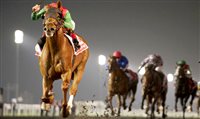 Conheça o evento mais rico das corridas de cavalo, em Dubai