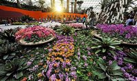 Cinco jardins que valem a pena conhecer em Cingapura