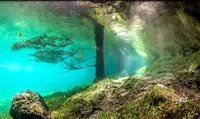 Conheça o Green Lake: parque submerso na Áustria