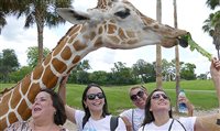 Brasileiros conhecem o lado divertido de Tampa, Flórida