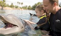 Discovery Cove comemora 15 anos desde sua abertura