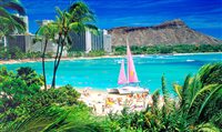 Havaí terá capacitações on-line durante julho; inscreva-se