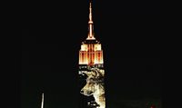 Empire State (NY) projeta animais em extinção em protesto