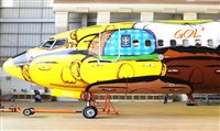 Dos Gêmeos à Disney: veja fotos de aviões temáticos