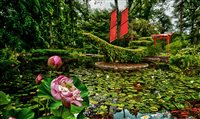 Conheça 16 lugares para visitar em Maryland (EUA) 