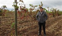 Vinho no México? Conheça a vinícola Cuna de Tierra