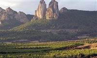Conheça La Rioja, principal região de vinhos da Espanha