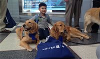 United oferece cachorros para desestressar passageiros