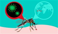 Para Comitê Rio 2016, Zika não afetará Olimpíada