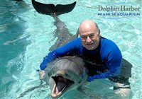 Miami Seaquarium tem interação com golfinhos