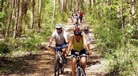 Santa Catarina terá roteiro de 300 km de cicloturismo
