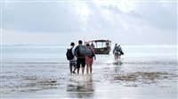 Brasileiros mergulham em Zanzibar (Tanzânia); veja