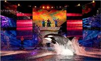 Busch Gardens e Sea World abrem temporada de verão