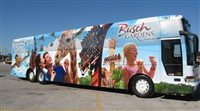 Busch Gardens Tampa (FLA) oferece transporte gratuito 
